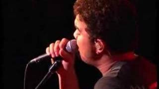 Taller Stronger Better