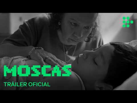 MOSCAS | Tráiler Oficial | En cines julio 2