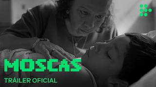 MOSCAS | Tráiler Oficial | En cines julio 2