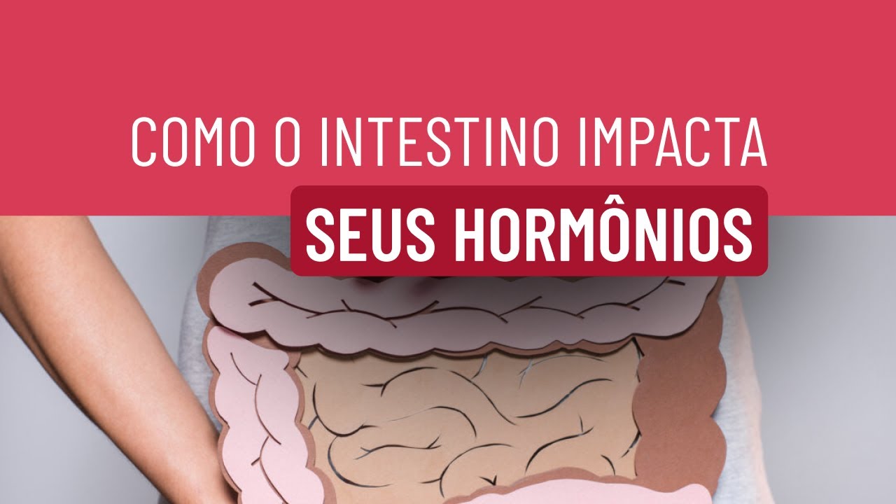 Intestino: como impacta seus hormônios e inflamação