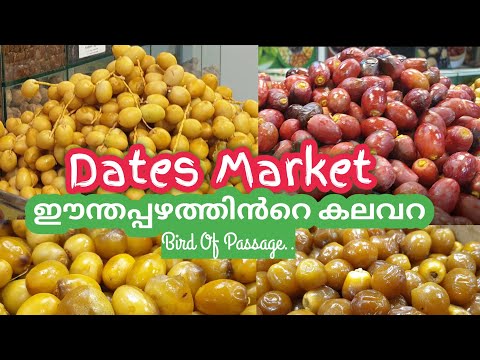 Abu Dhabi dates market visit|ഈന്തപ്പഴത്തിന്റെ കലവറ|Fresh dates market in Abu Dhabi- Cultural tour