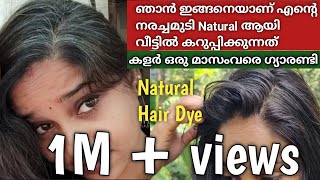 Natural Hairdye at home 💯% Result for all #natural #hairdye #athome #inmalayalam #prematuregreyhair
