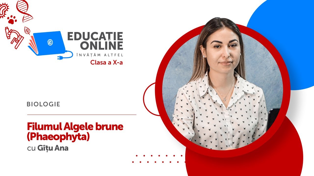 Biologie, clasa a X-a, Filumul Algele brune (Phaeophyta)