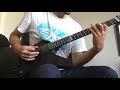 Die apokalyptischen reiter- Regret (guitar cover)