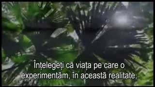 The Awakening (ro sub)