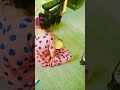 Eppa Pathalum Soru Soru