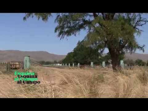 Santo Tomás de la Sierra