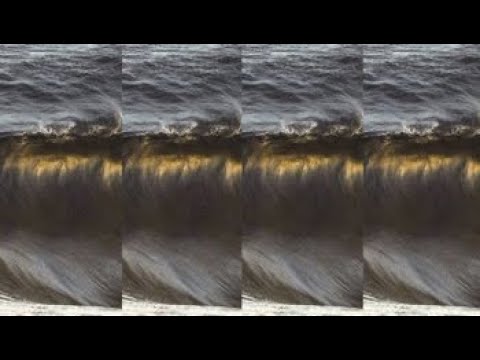 COPYCATT - SHIPSTERN BLUFF