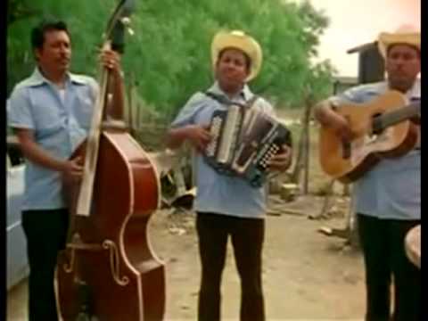 México Americano - Los Pingüinos del Norte