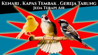 Download lagu Kenari, Kapas Tembak, Gereja Tarung Jeda Terapi Air mp3