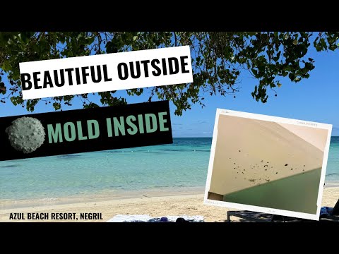 Videos del Azul Beach Resort Negril 5★ en Negril, JamaicaVer MásVerPrecios19CerrarConsulta por Whatsapp 🇦🇷BookingTripadvisorExpediaAgodaTravelocityOrbitzPricelineTripSkyscannerDespegarKayakHotelesBestdayDestiniaTrivagoTurismocityLastminuteHotwireTui