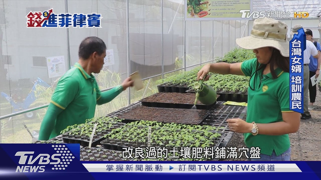 蔬果靠進口、豬肉飆天價!菲律賓糧食安全難題 台灣技術卡位利基?