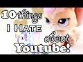 LPS 10 Things I Hate About Youtube