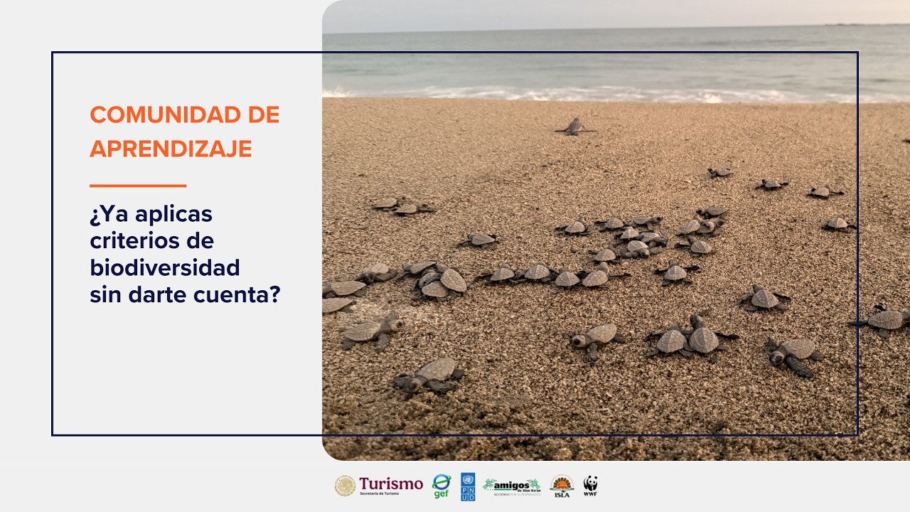 Comunidad de aprendizaje | ¿Ya aplicas criterios de biodiversidad sin darte cuenta?