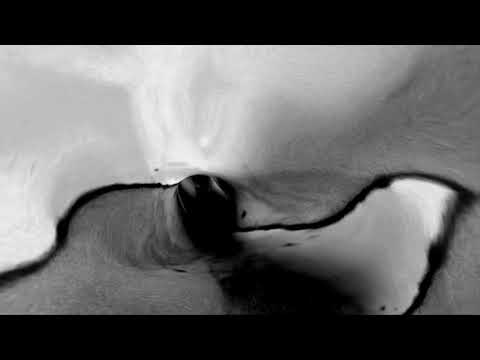 Joel Fausto & Illusion Orchestra - The Bug (Official Video)