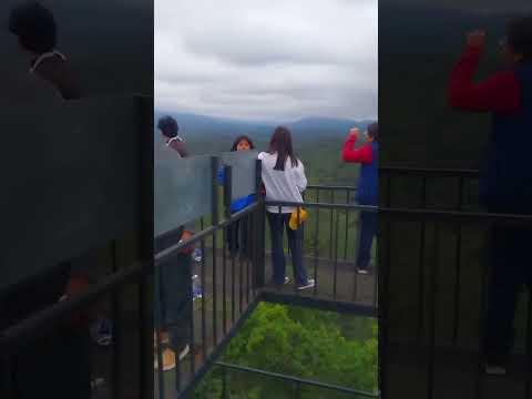 El Mangrullo // Lancitas, Jujuy 💚