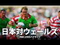 日本対ウェールズ直前特集 日本対ウェールズ RWC1995