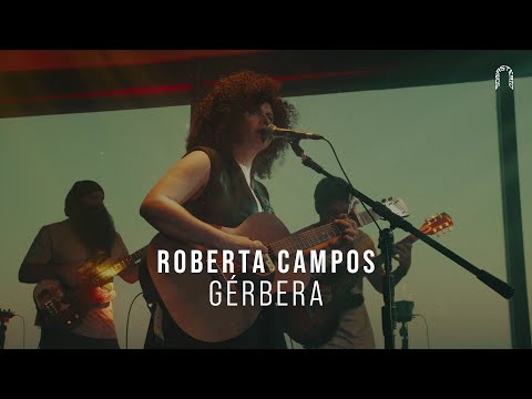 Gérbera - Roberta Campos
