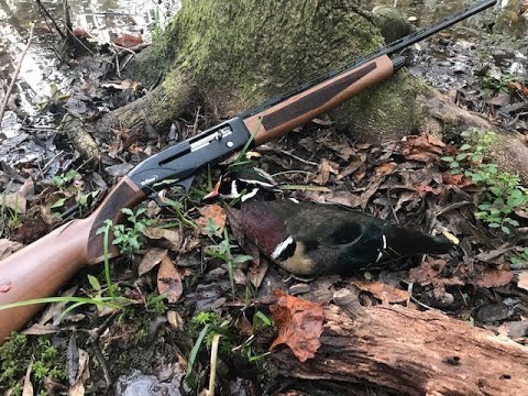 .410 TSS / Steel Duplex Load, Waterfowl Smasher!!! (36 gauge)