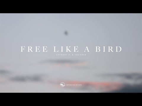 Anthony P. & Thunder - Free Like A Bird