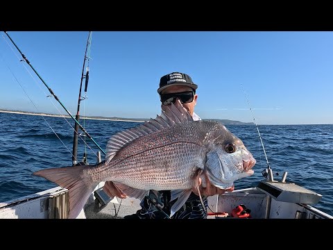 Snapper & Kingfish frenzy NSW central coast