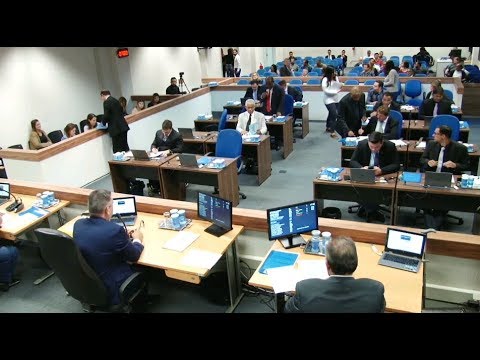 Vereadores aprovam Defesa Animal em primeira discussão