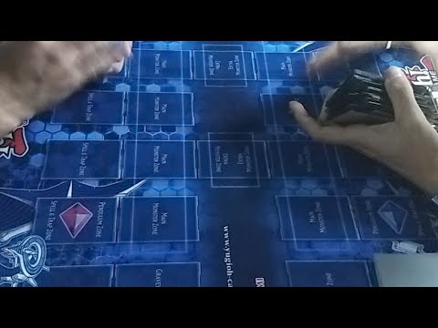 LA MANTIA VS KENNEDY - TRUE DRACO VS TRUE DRACO ZOODIAC