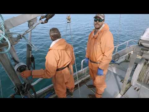 Halibut Longlining at the Geeses - Kodiak Alaska 2023 Fishing Season