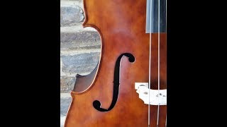 The Standup Bass Comes Home