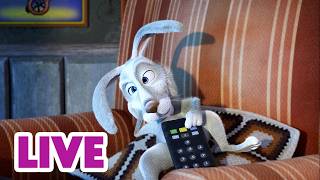 🔴 LIVE STREAM 🎬 Masha and the Bear 🤬🐰 How to Be a Professional Couch Potato? 🛋️🥔