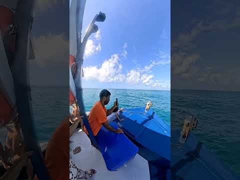 PASSEIO PARA VER AS BALEIAS EM CARAVELAS-BA #baleiajubarte baleia #bahia #adrenalina #gopro #shorts
