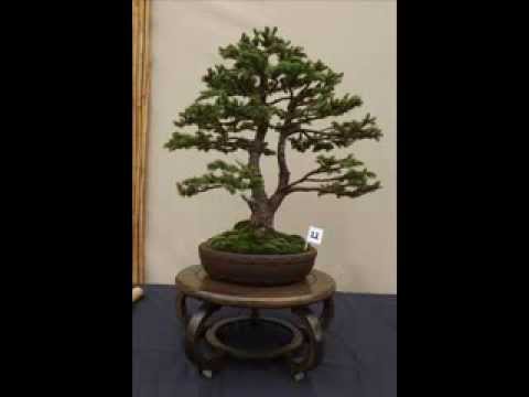 Oltre il Verde Competition 4 (2013)