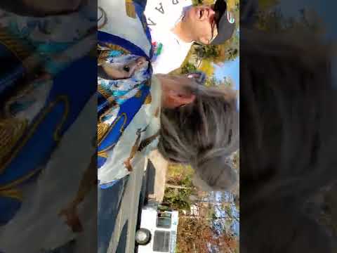 حمله تروریستان رژیمی به قصد کشتار دسته جمعی در تورنتو