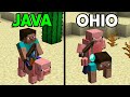 Minecraft Java Vs Ohio Pt 6