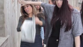 Dani Cimorelli's Funny Moments In Their