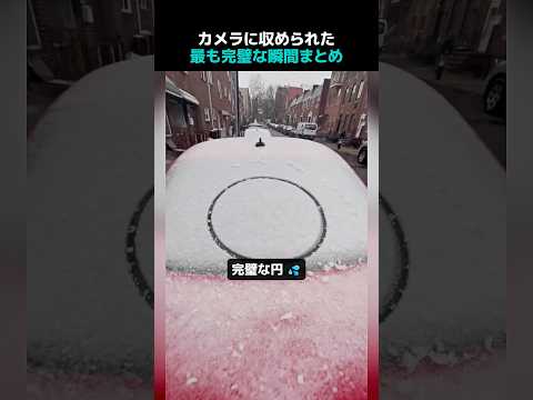 カメラに収められた最も完璧な瞬間まとめ