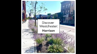 Discover Westchester: Harrison, NY | A Hometown with Heart & Community Charm