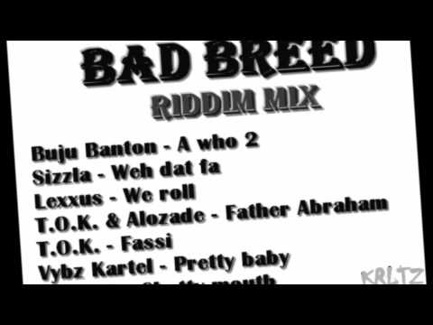 Bad Breed riddim mix