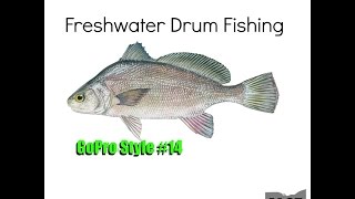 Freshwater Drum Fishing