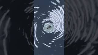 Download lagu Anti ANTS Repellent Sound INSECTS mp3