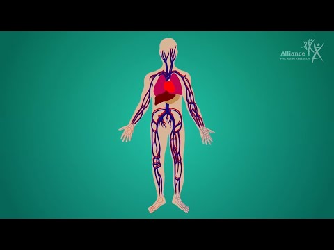 Living with VTE and Preventing Deadly Blood Clots