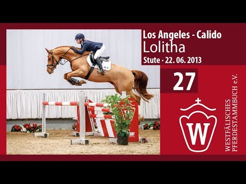 27 Lolitha Stute v. Los Angeles - Calido