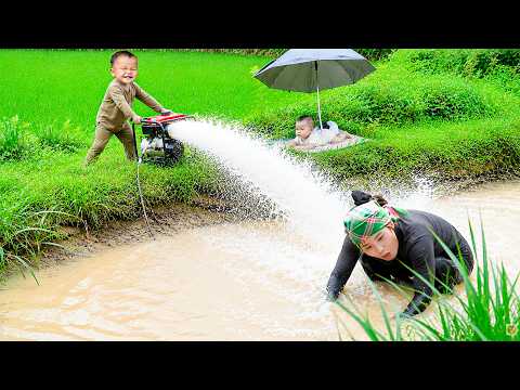 Draining Pond to Harvest Giant Fish to Sell at Market with My Babies - Caring for Pigs and Chickens