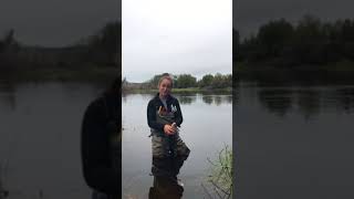 If I wade across the water