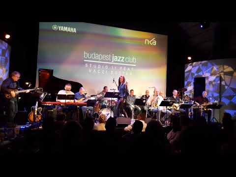 Midnight At The Oasis - Studio11 Evenings feat. Váczi Eszter