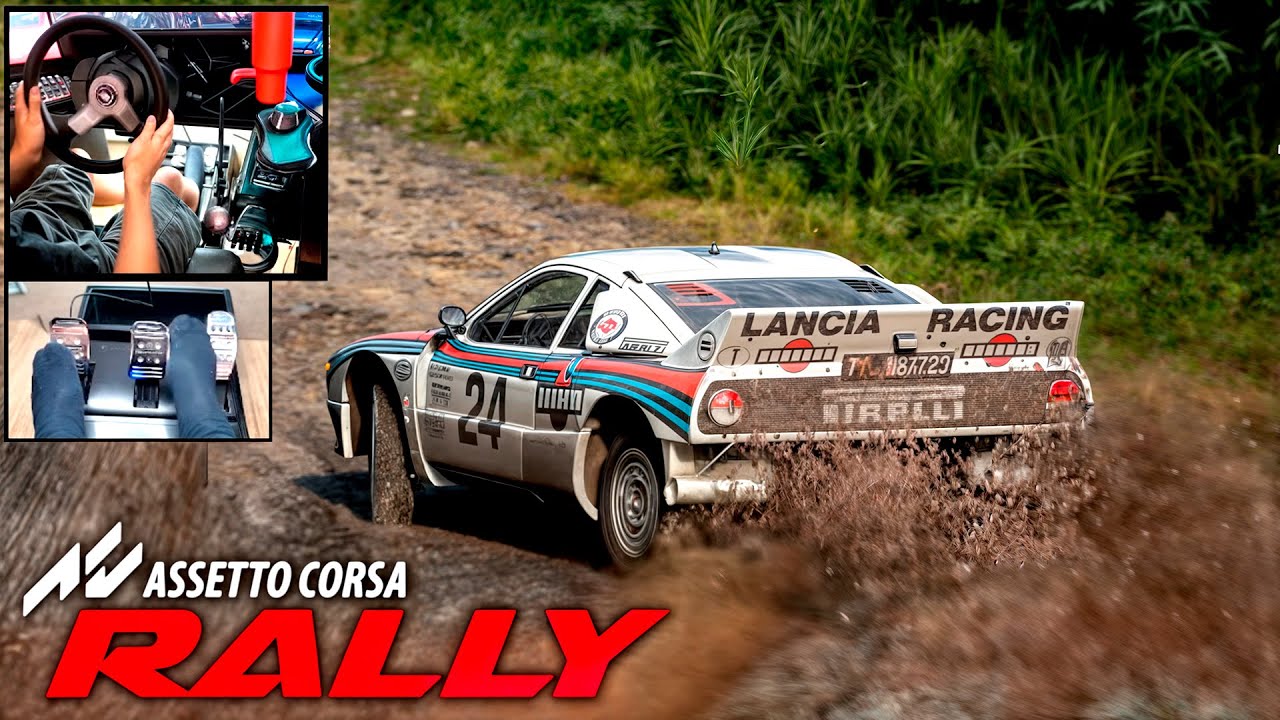 Assetto Corsa Rally - Jogando de LADO no VOLANTE!