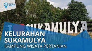 Wiki On the Spot - Kelurahan Sukamulya, Kampung Wisata Edukasi Pertanian di Prov. Sumatera Selatan