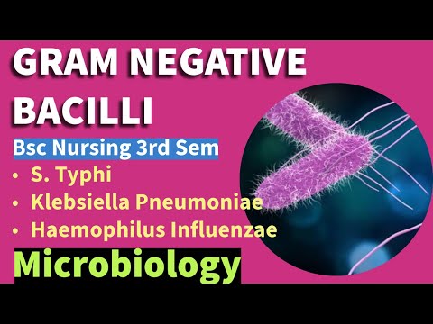 GRAM NEGATIVE BACILLI Part- 2 || Microbiology || B.Sc. Nursing 3rd Sem