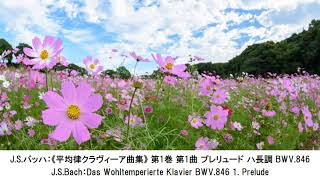 優しい感じのクラシック名曲集・Gentle feeling Classical Music Collection（長時間作業用BGM)