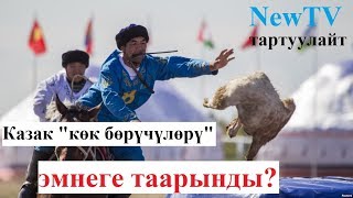 NewTV, КАЗАКТАР ЭМНЕГЕ ТААРЫНДЫ?